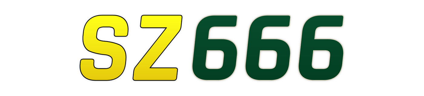 sz666